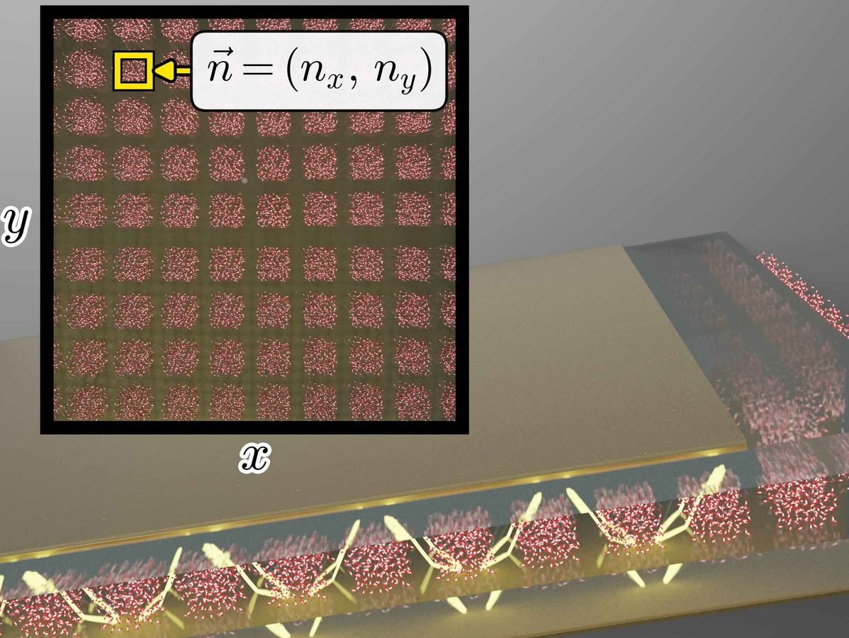 Nonlinear Freezing of Vibrational Polariton Transport via Mesoscale Simulations TOC figure