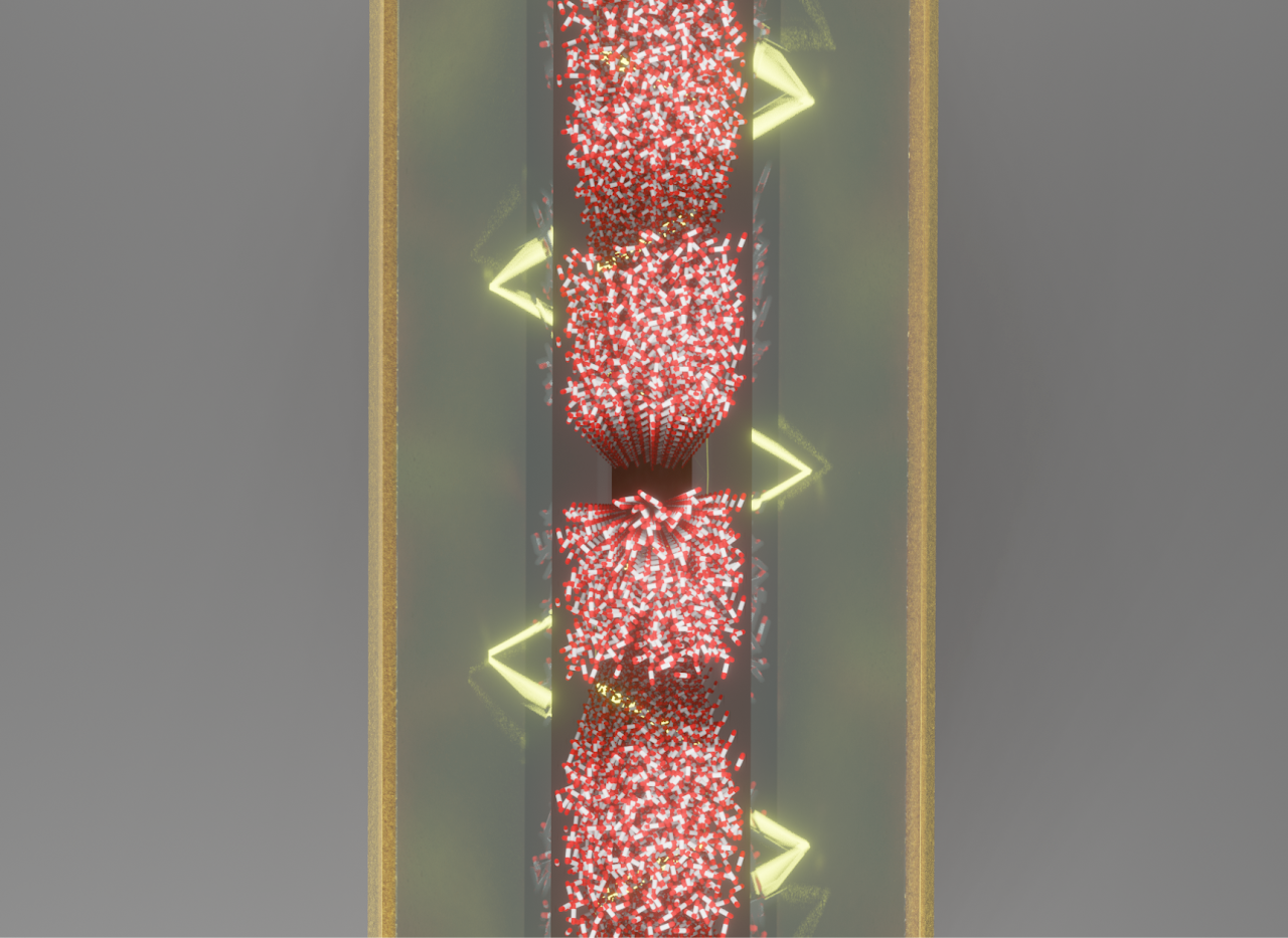 Computational polaritonics